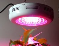 90w ufo led grow light cannabis indoor uk