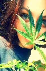 best cannabis strain for sex